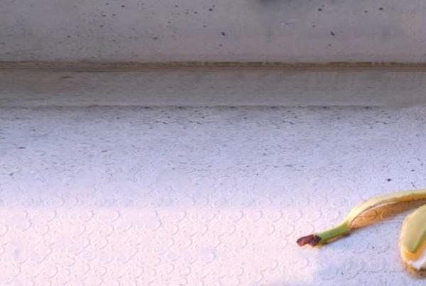 piede con scarpa antinfortunistica su buccia di banana infortuni inail